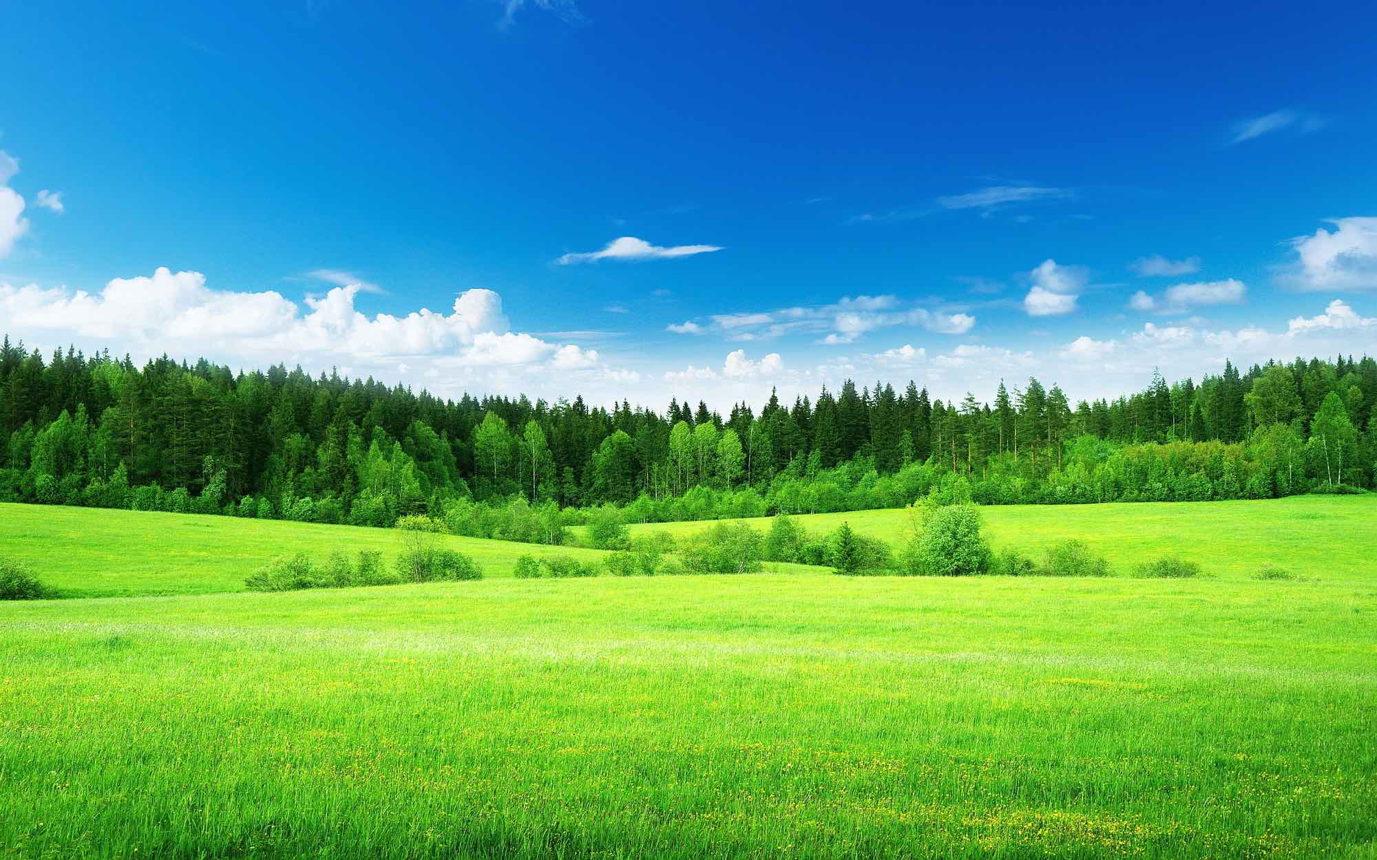 landscape
